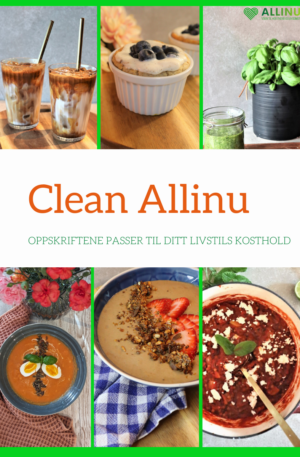 Oppskrift hefte Clean Allinu